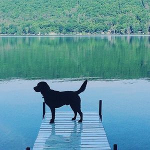 Meet your Posher, Caroline